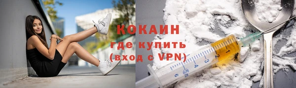 тгк Богородицк