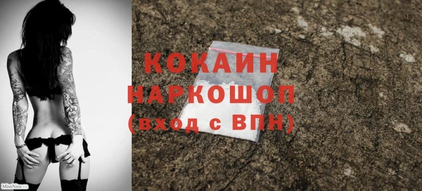 тгк Богородицк