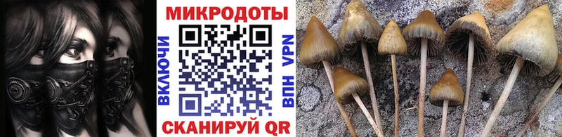купить наркотик  Межгорье  Псилоцибиновые грибы прущие грибы 